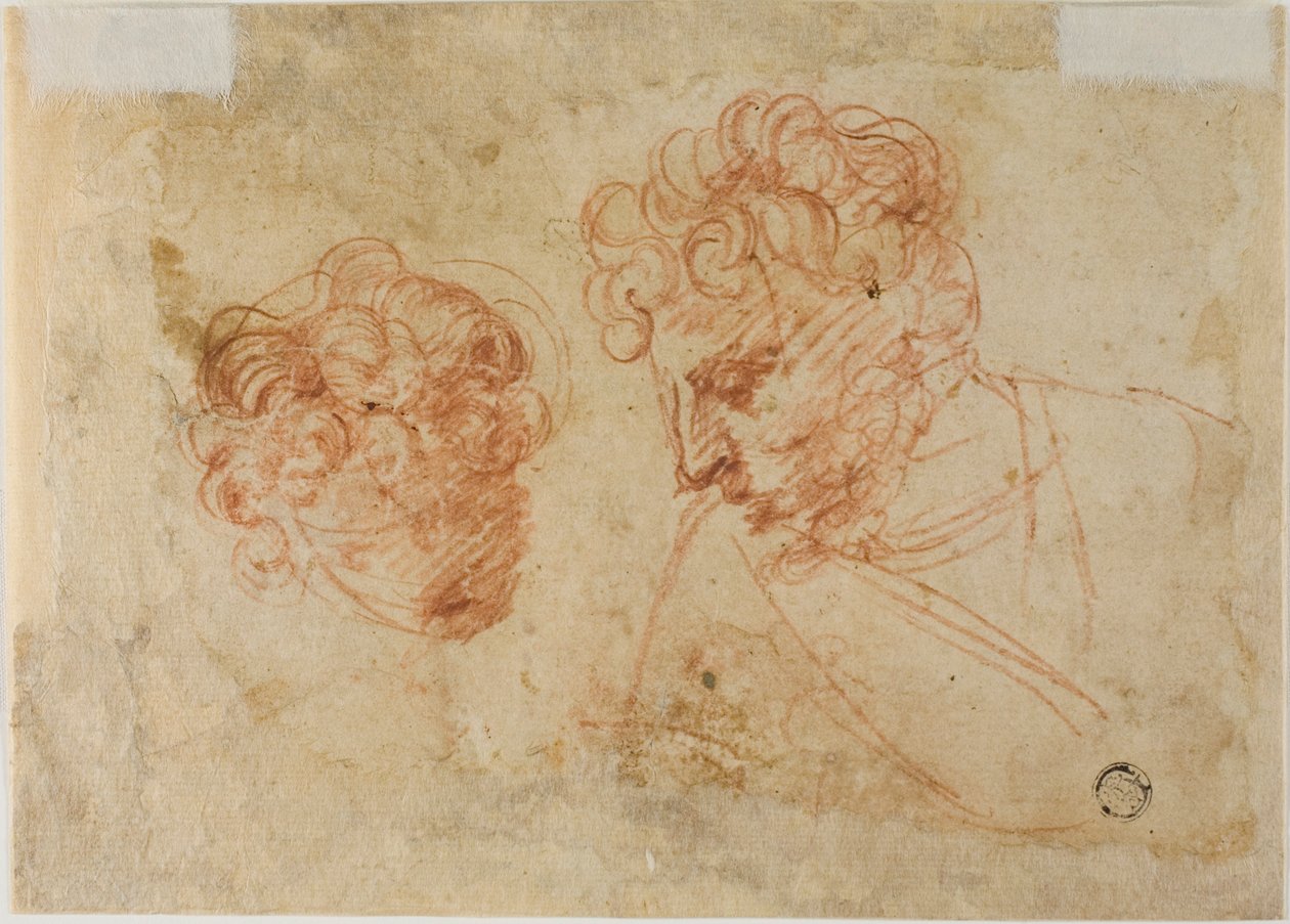 Dvě skici hlav (recto); dvě skici zahalené ženy (verso) od Unknown Florentine