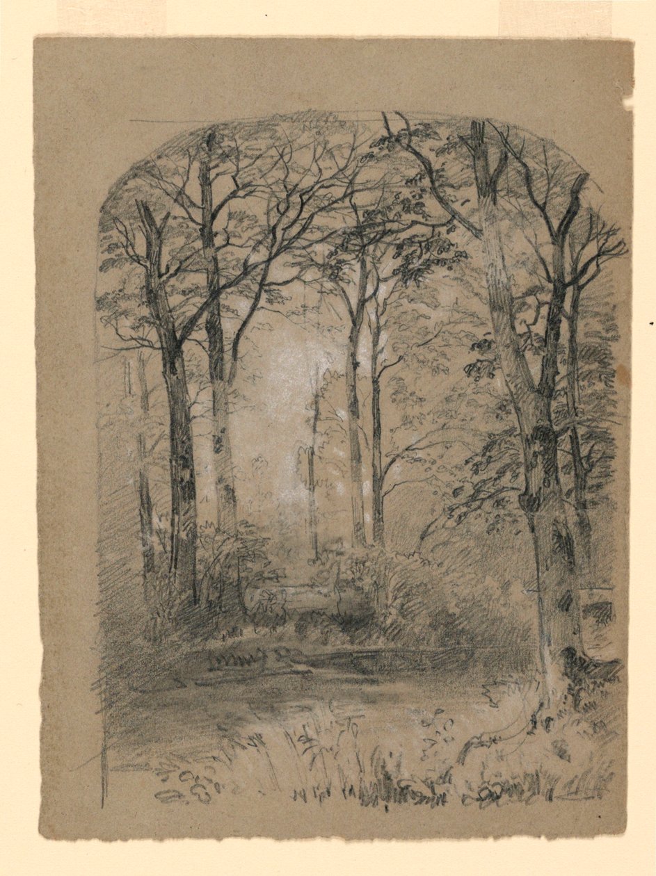 Kresba, Studie lesa, 1865-70 od Unknown artistUnknown artist