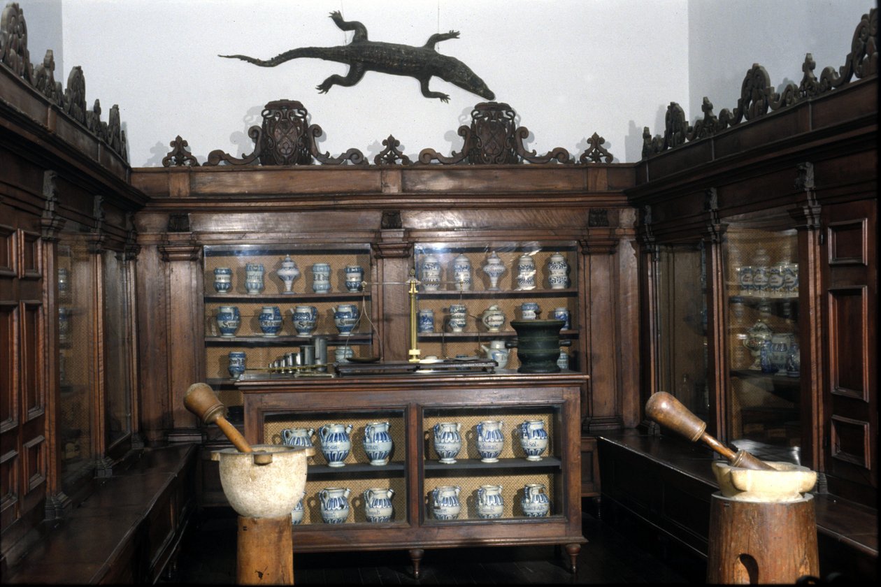 Lékárna ze 17. století, vázy, hrnce, hmoždíře... Muzeum vědy a techniky, Milán. od Unknown artist