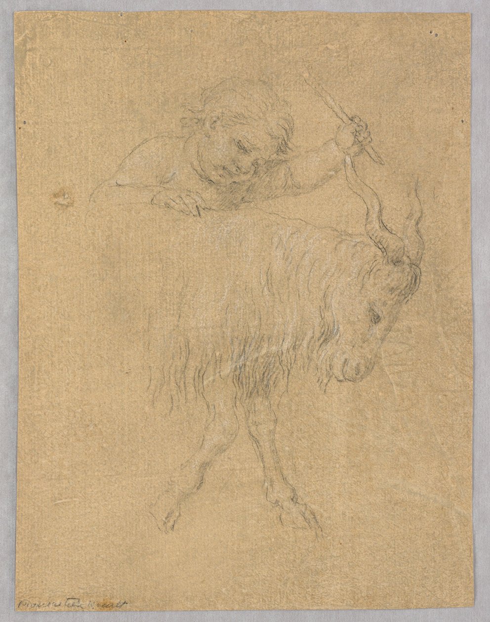 Chlapec řídí kozu od Unknown artist