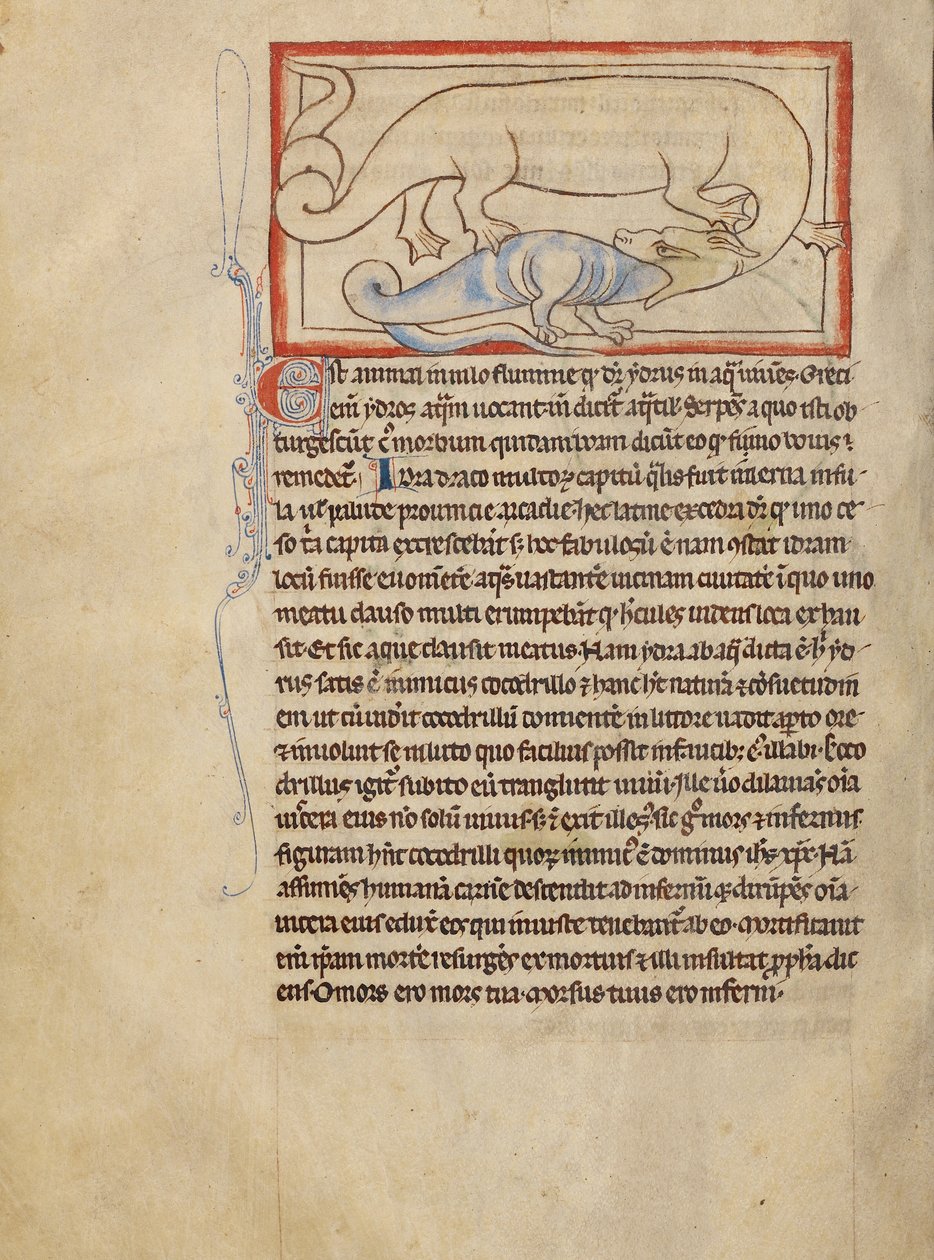 A Hydrus od Unknown artist