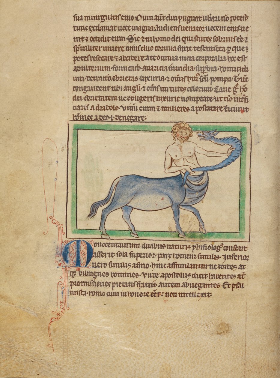 A Monocentaurus od Unknown artist