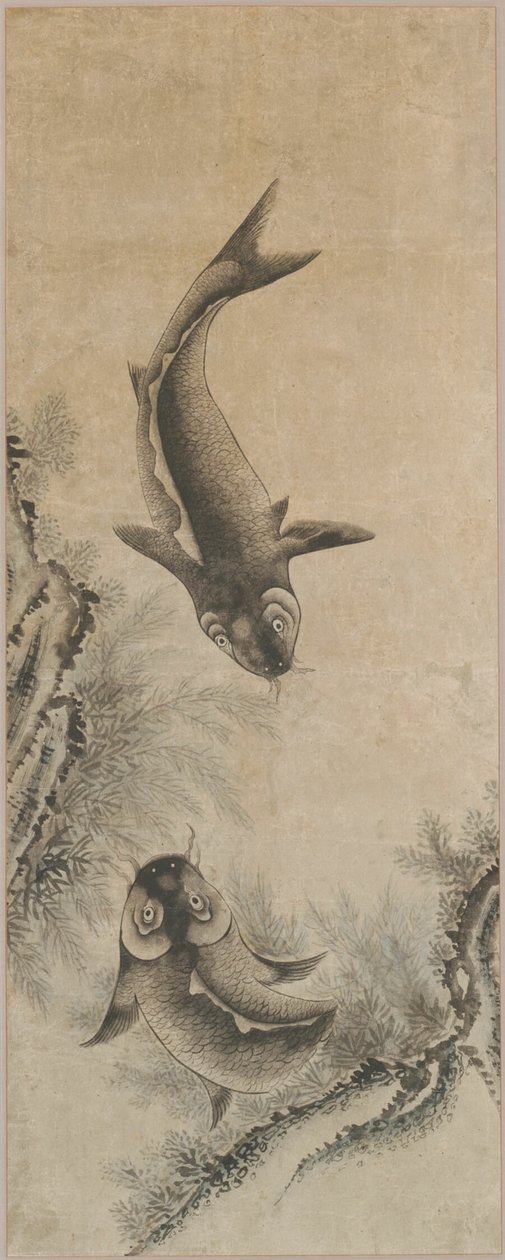 Pár kaprů od Unknown artist