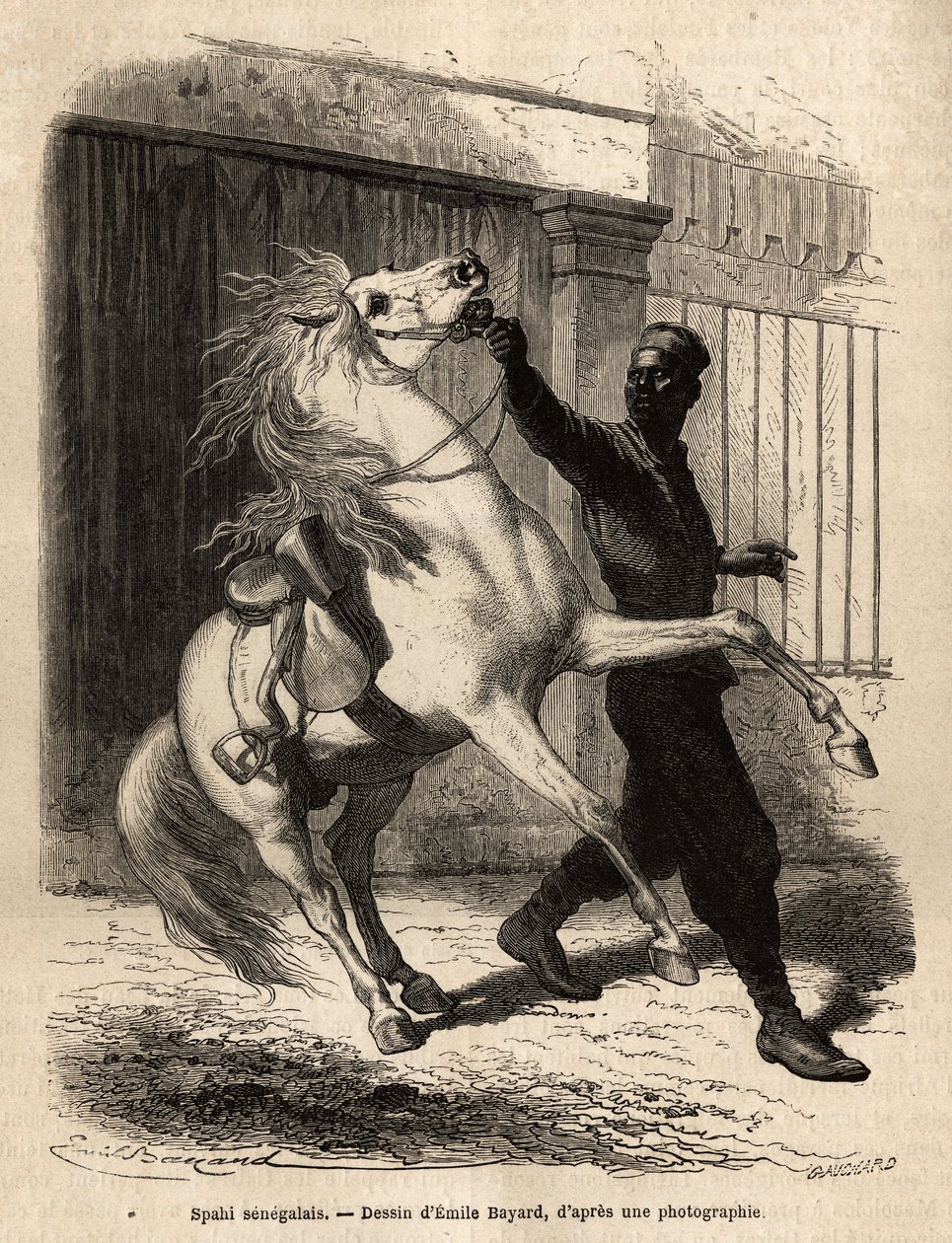 Senegalský spahi (kavalír) v Saint-Louis (Saint Louis). Rytina k ilustraci plavby na pobřeží Afriky od viceadmirála Fleuriota de Langle, v roce 1868, publikovaná v „“Le tour du monde“““ 1872, editoval Edouard Charton, vydání Hachette, Paříž. od Unknown artist
