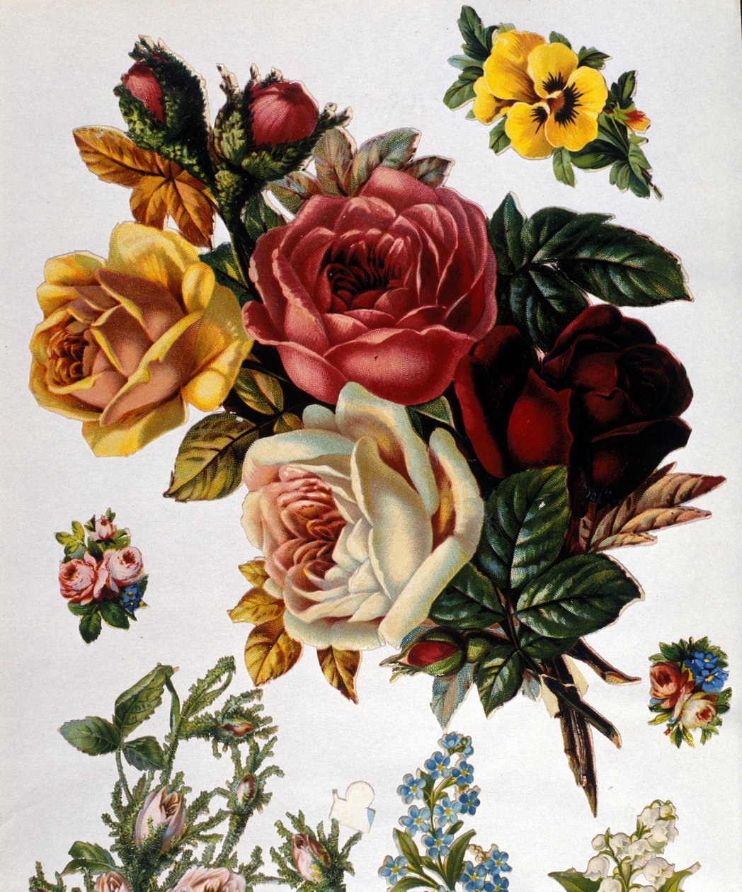 Kytice růží. Chromolitografie 19. století. od Unknown artist