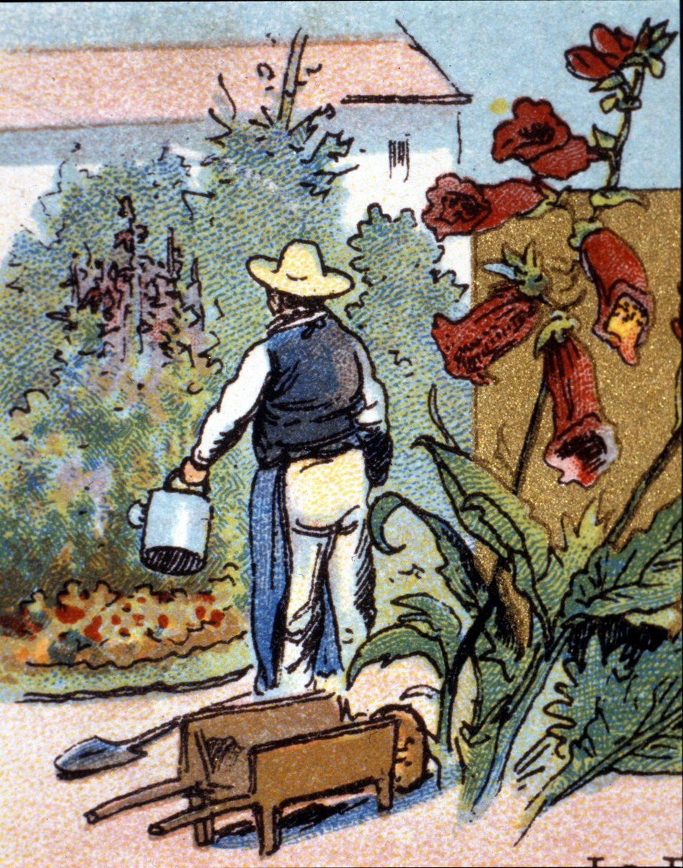 Zahradník, chromolitografie od Unknown artist