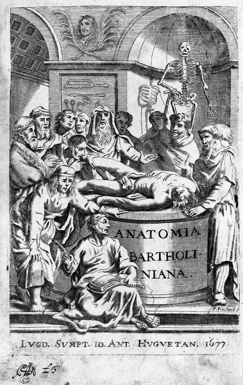 Lekón anatomie Frontispice přebírá z „Anatomia Reformata““ od Thomase Bartholina (1616-80) (Bartholinus) 1677 od Unknown artist