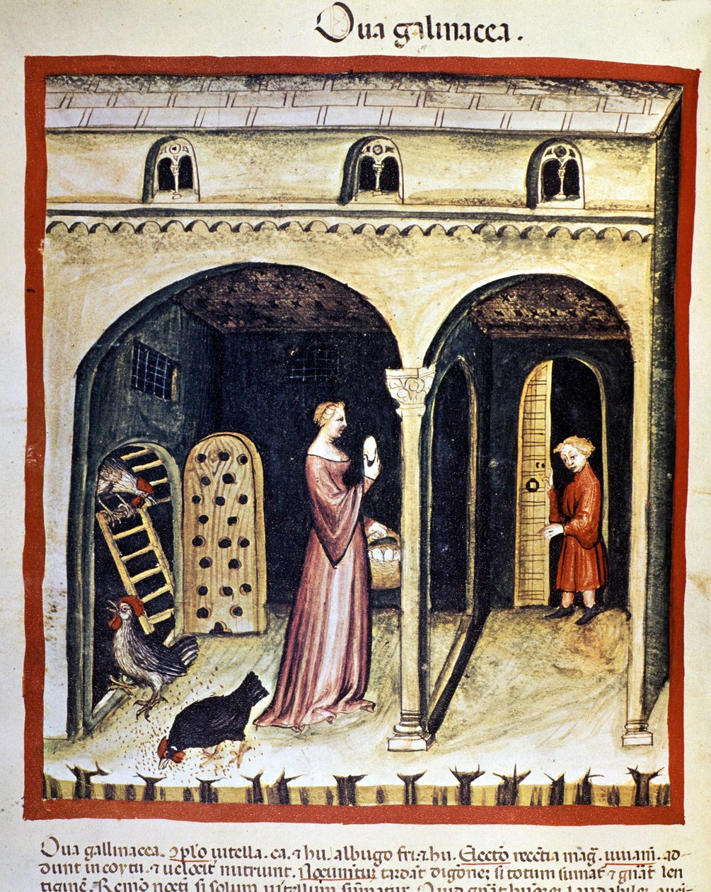 Mladá žena zvedne slepičí vejce. Osvětlení z dojení medicíny a dietetiky „“Tacuinum sanitatis““ od Unknown artist