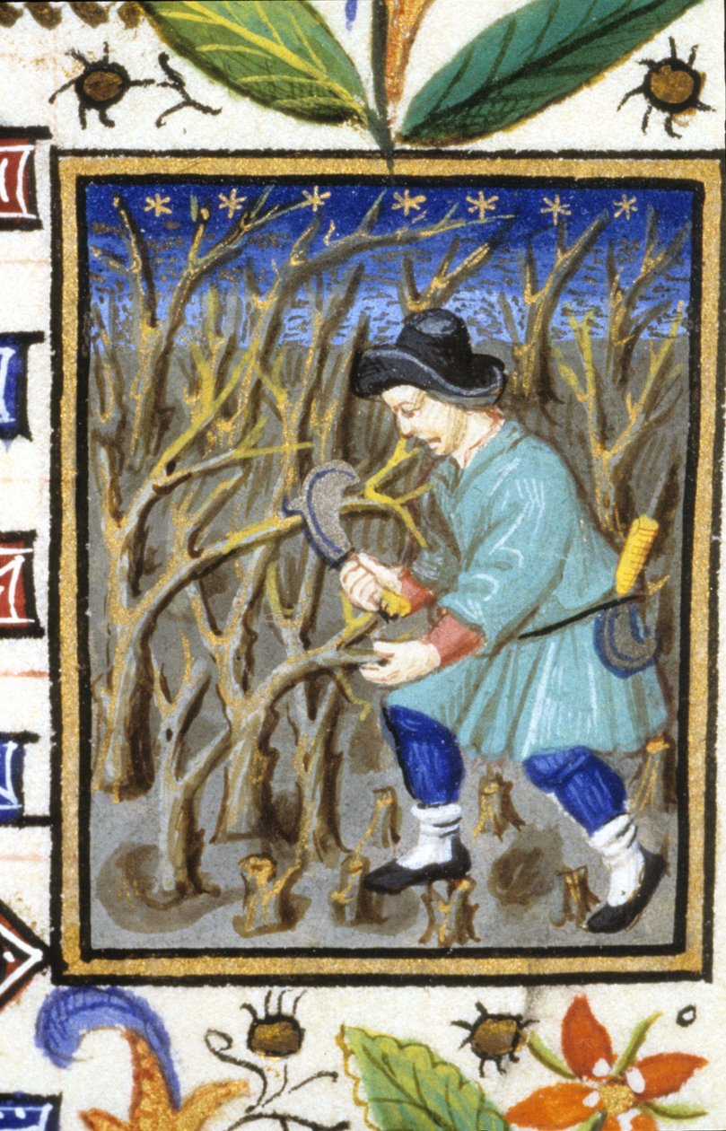 Alegorické zobrazení března. Muž řezání keřů (kresba). Miniatura rukopisu ze 14. století. od Unknown artist