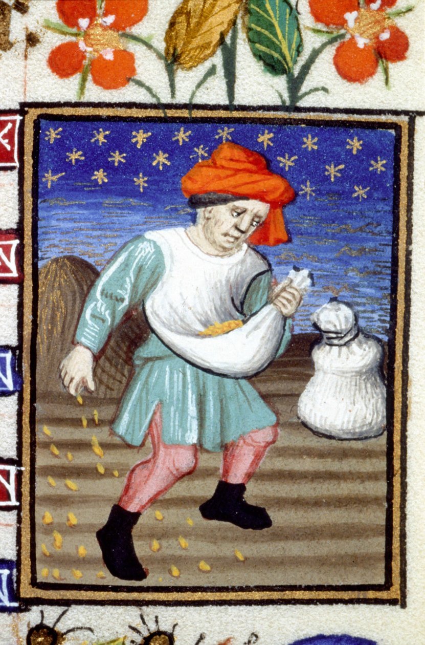 Alegorické znázornění října. Rolník sející obilí. Miniatura rukopisu ze 14. století. od Unknown artist