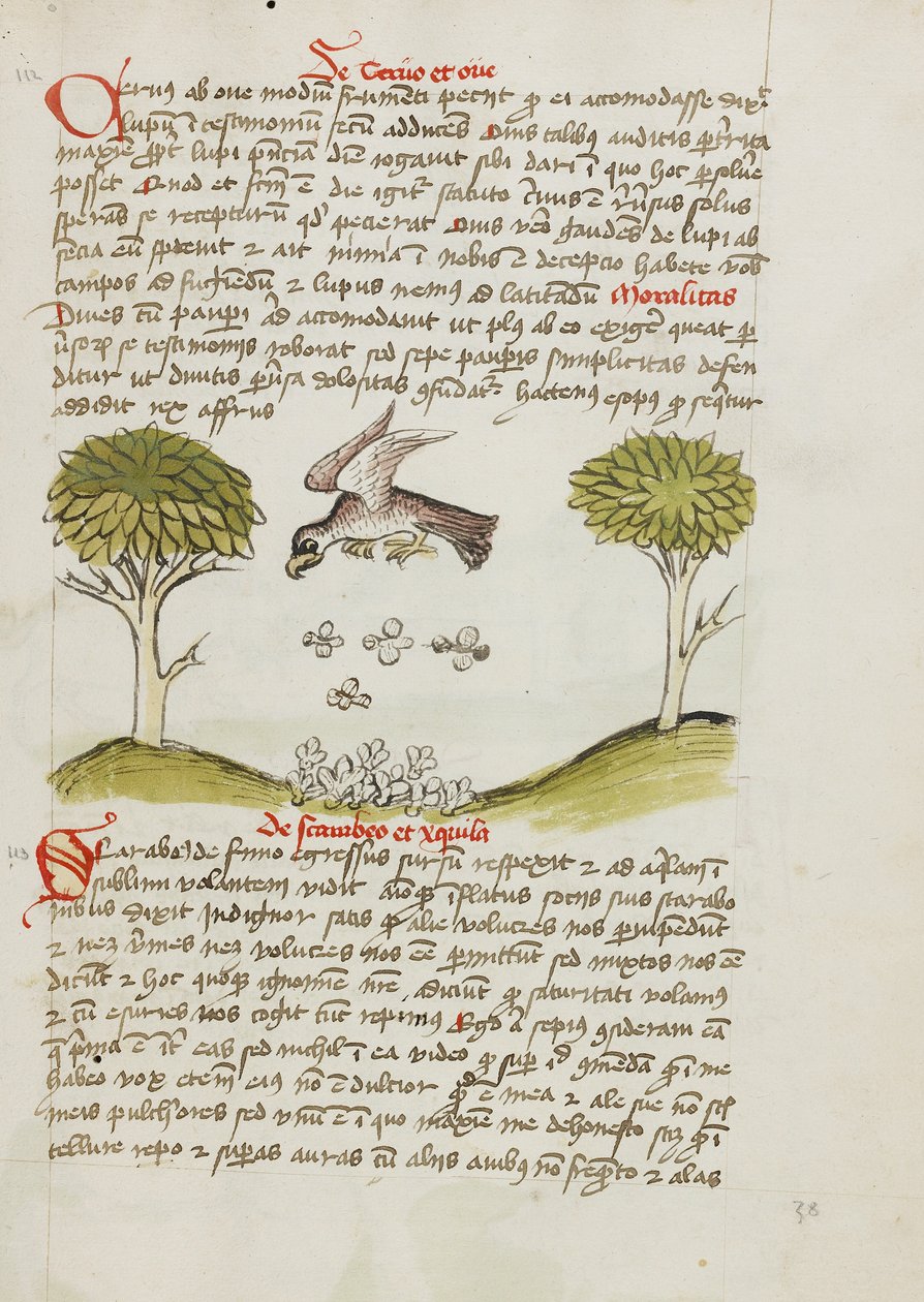 Orel letící nad rojem hmyzu od Unknown artist