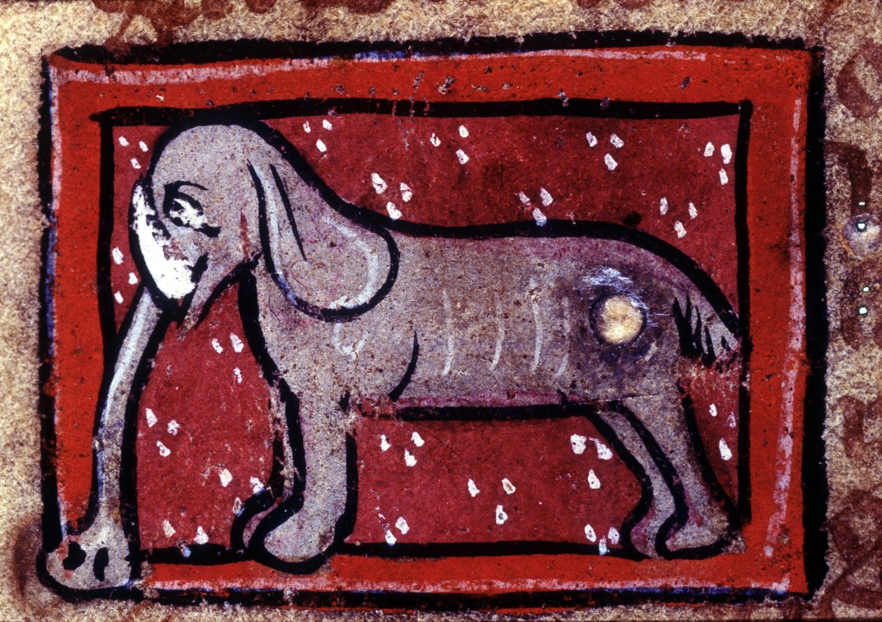 Slon - bestiář ze 14. století. Milán, Biblioteca Trivulziana. od Unknown artist