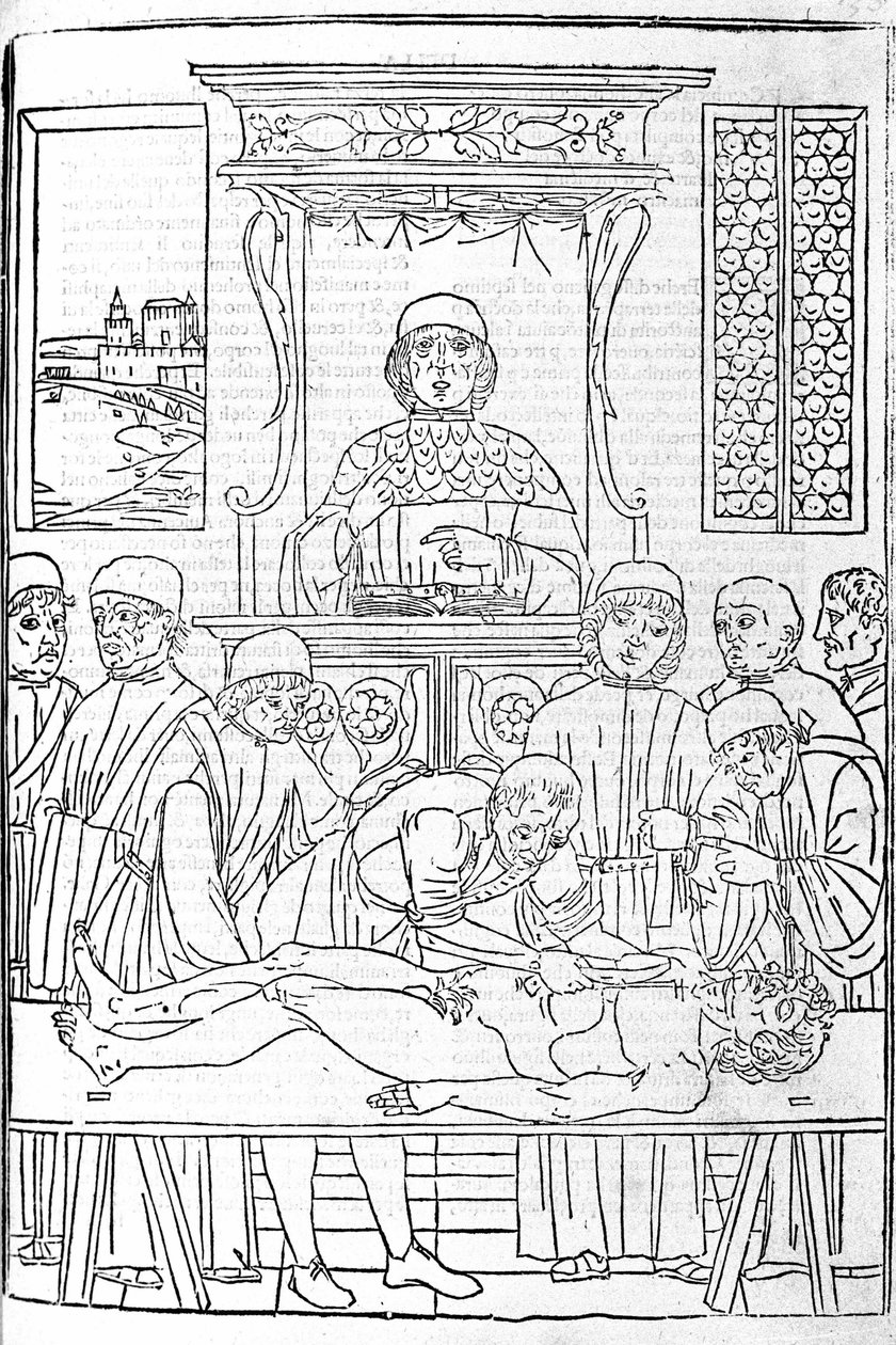 Anatomická pitva. Rytina z pojednání o medicíně od Gerolama Cardana (Cardanus Hieronymus), Florencie od Unknown artist