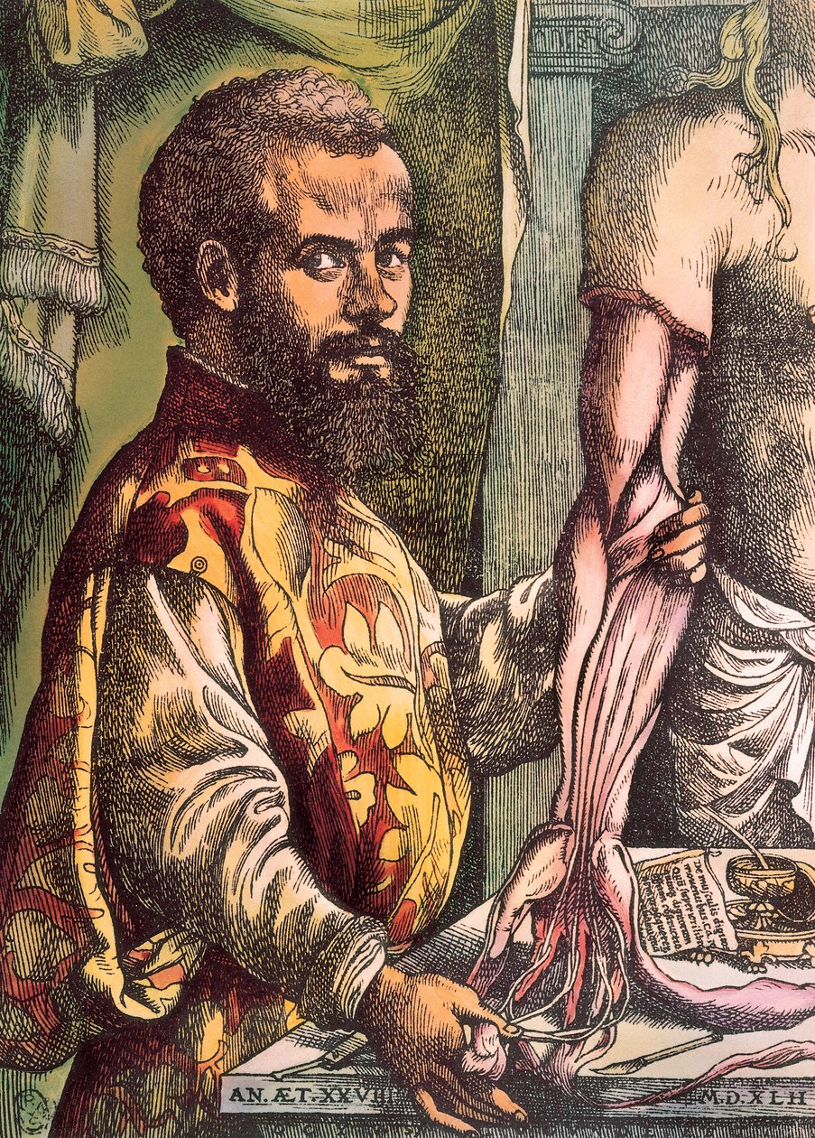 Andreas Vesalius (rytina od Unknown artist