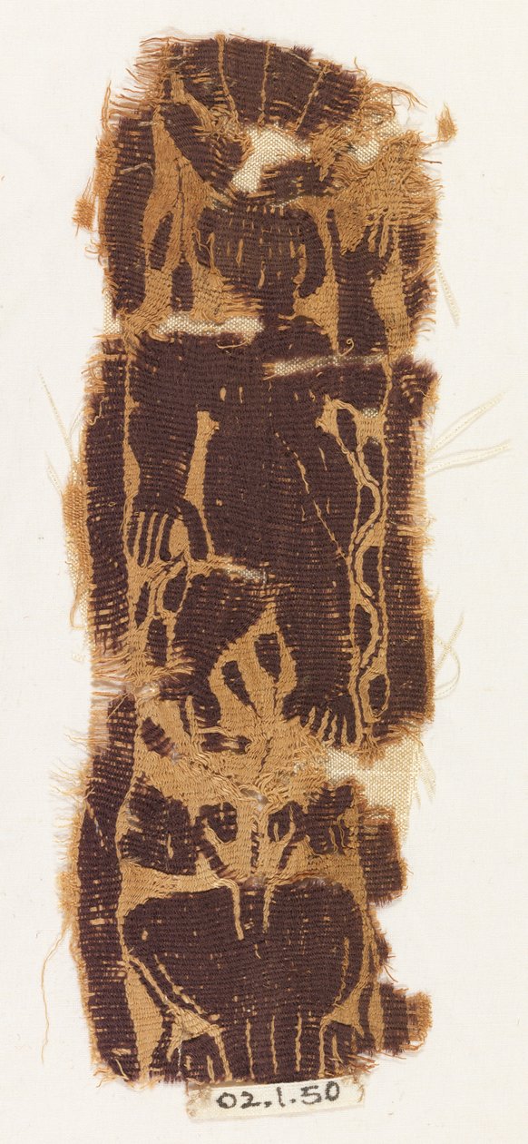 Fragment kapely od Unknown artist