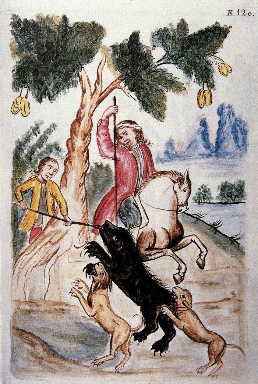Lov na medvědy, z knihy „Trujillo del Peru“ nebo „Códice Martínez Compañón“, od Baltazara Martineze Compañóna y Bujandy, biskupa z Trujillo (1782-1785) od Unknown artist