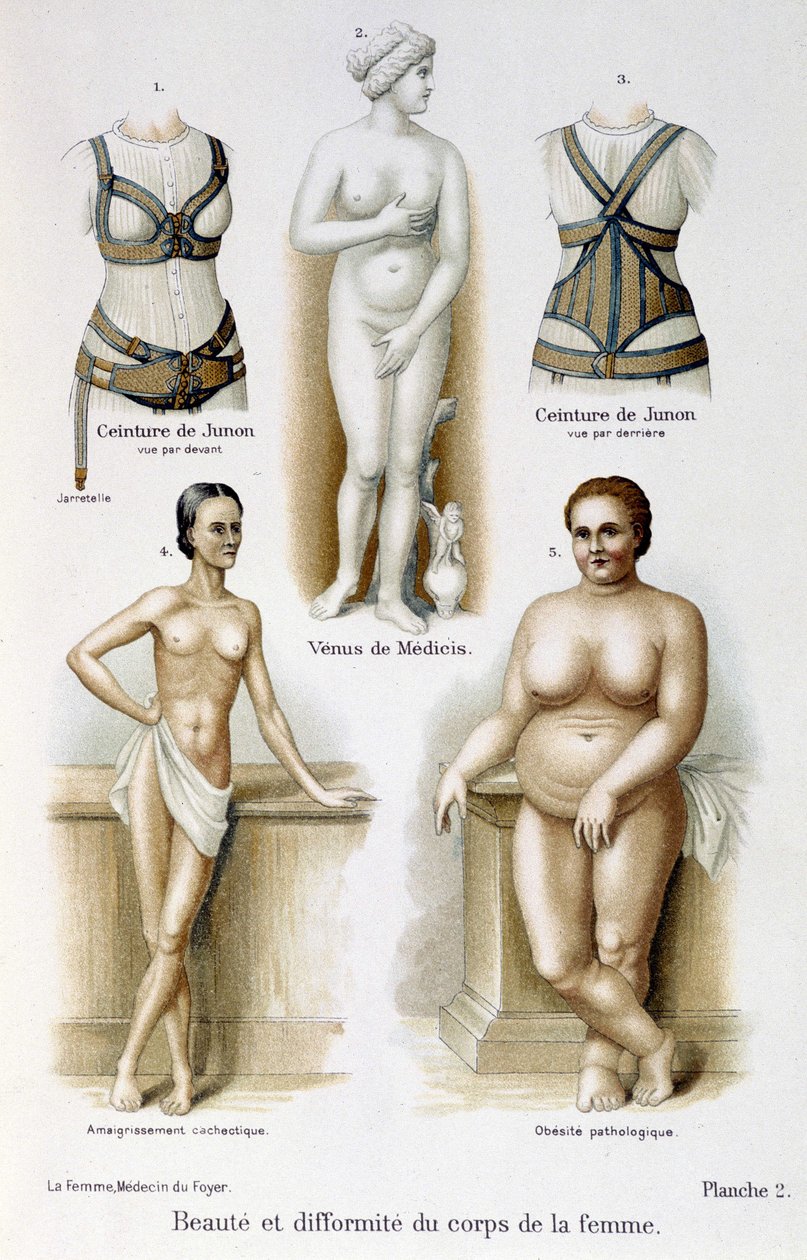 Krása a deformace ženského těla (štíhlá a obezita); Junino pásy - v „Žena, domácí lékař““ od Unknown artist