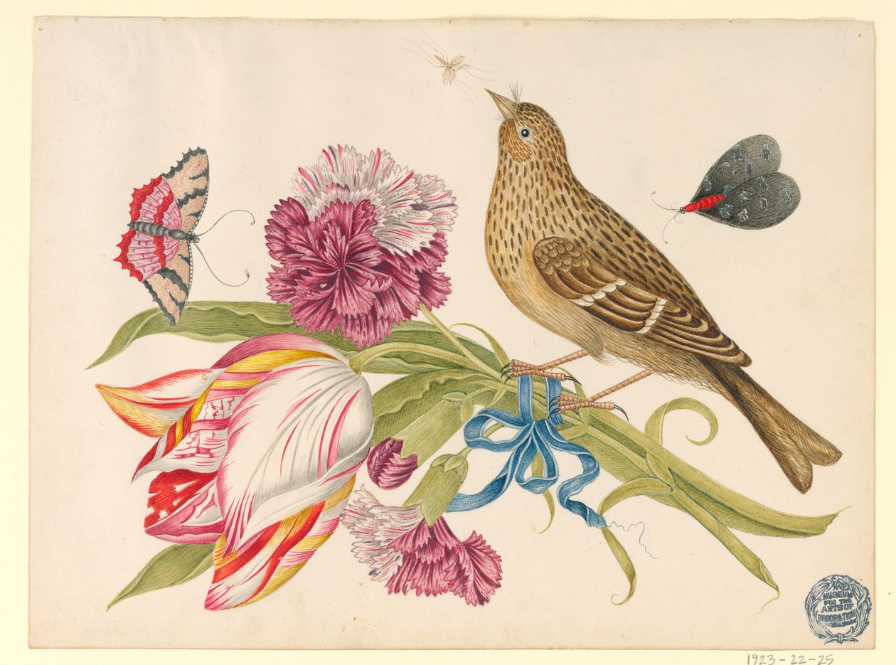 Pták s tulipánem, karafiátem, motýly a hmyzem od Unknown artist