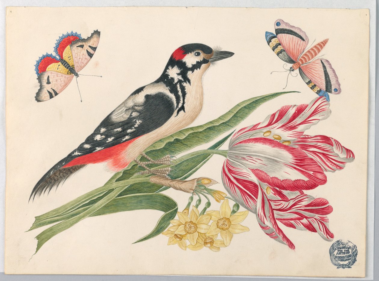 Černobílý strakatý pták na stonku tulipánu s narcisy a motýly od Unknown artist