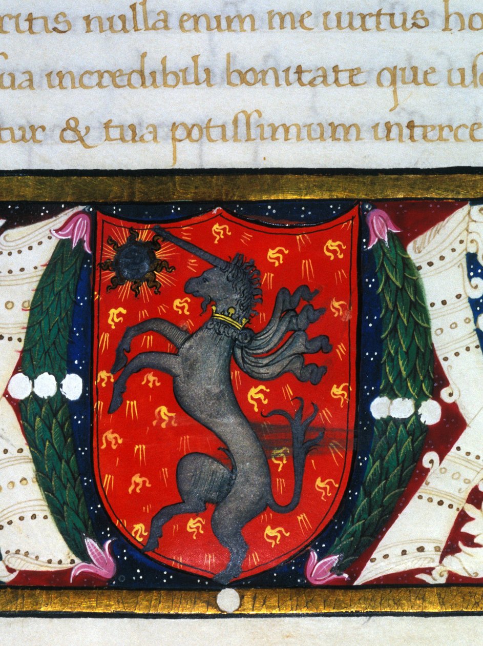 Blazon zdobí jednorožce, hvězdu na červeném pozadí. Detail miniatury. 14. století od Unknown artist