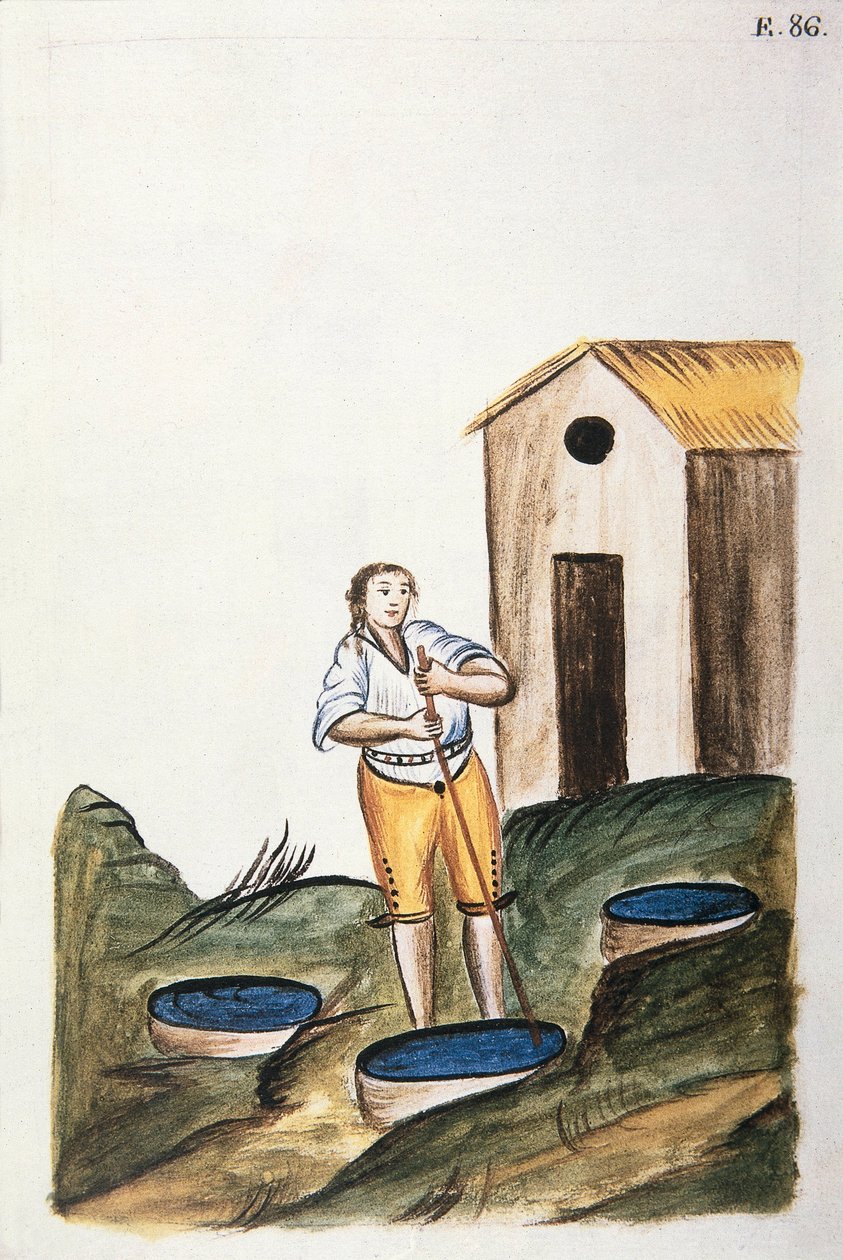 Modrý zásobník na barvivo používaný k barvení vlny, z knihy "Trujillo of Peru" nebo "Codex Martinez Companion", od Baltazara Martineze Companiona a Bujandy, biskupa z Trujillo (1782-1785) od Unknown artist