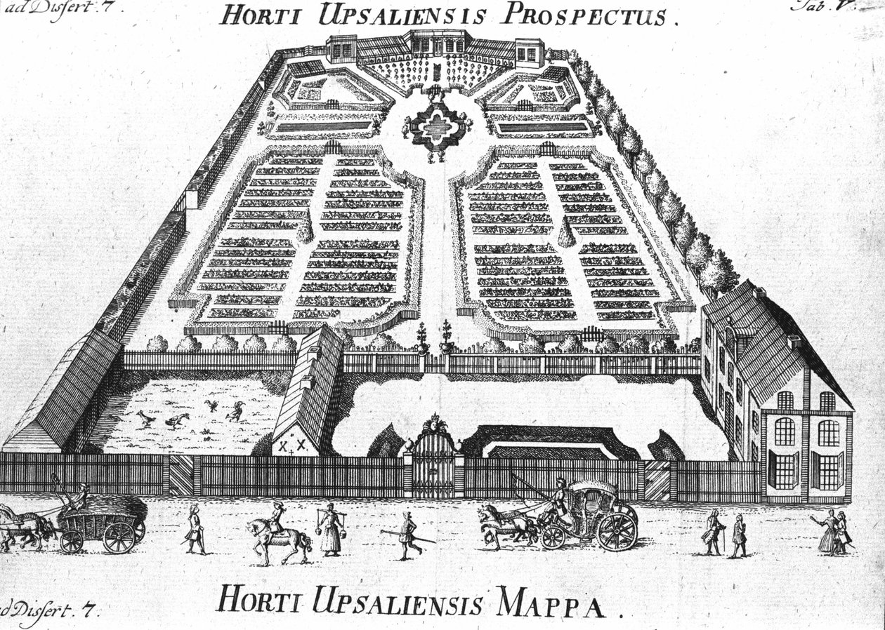 Výhledová a plánovaná botanická zahrada - HORTI UPSALIENSIS. od Unknown artist