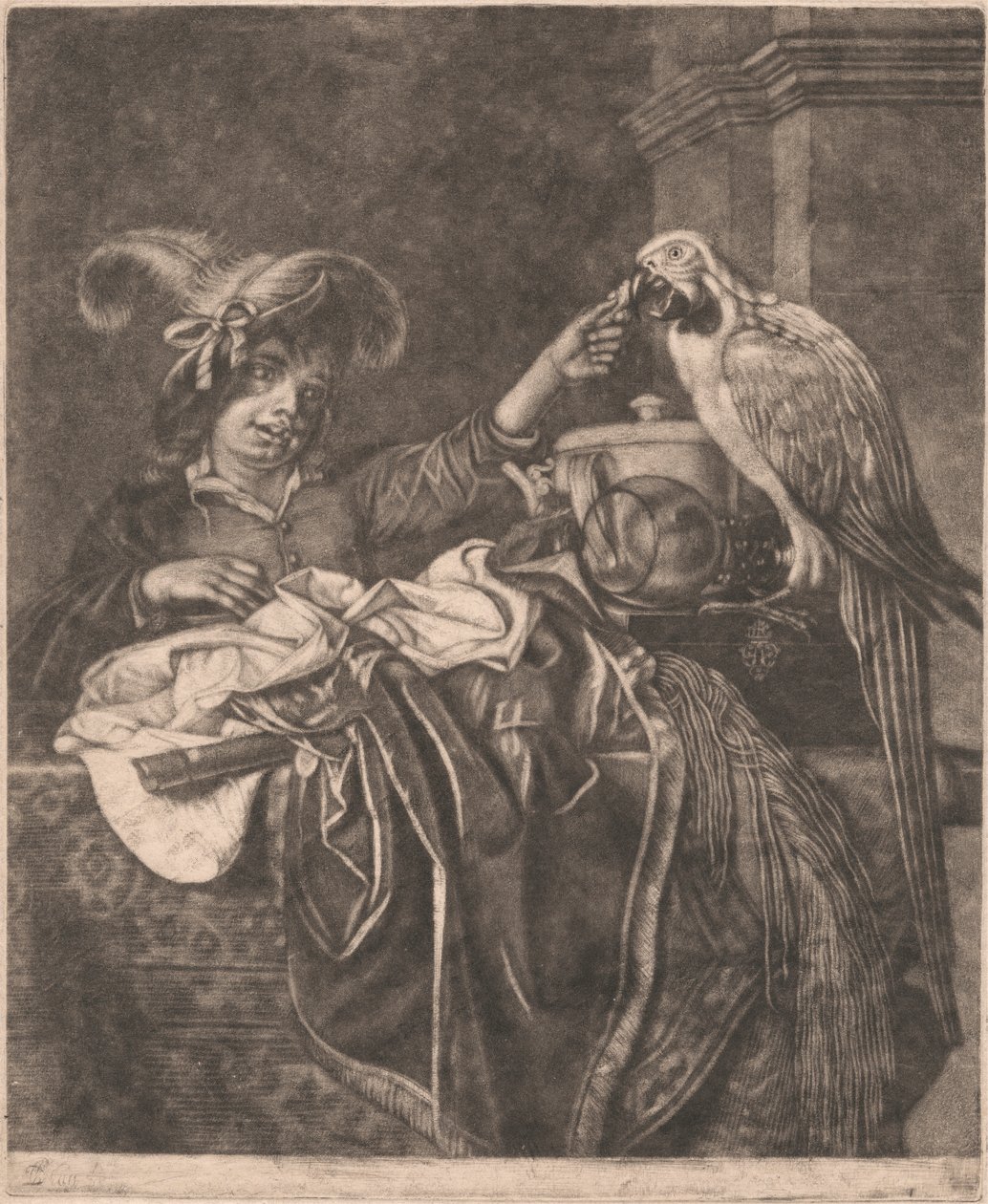 Chlapec a papoušek od Unknown artist