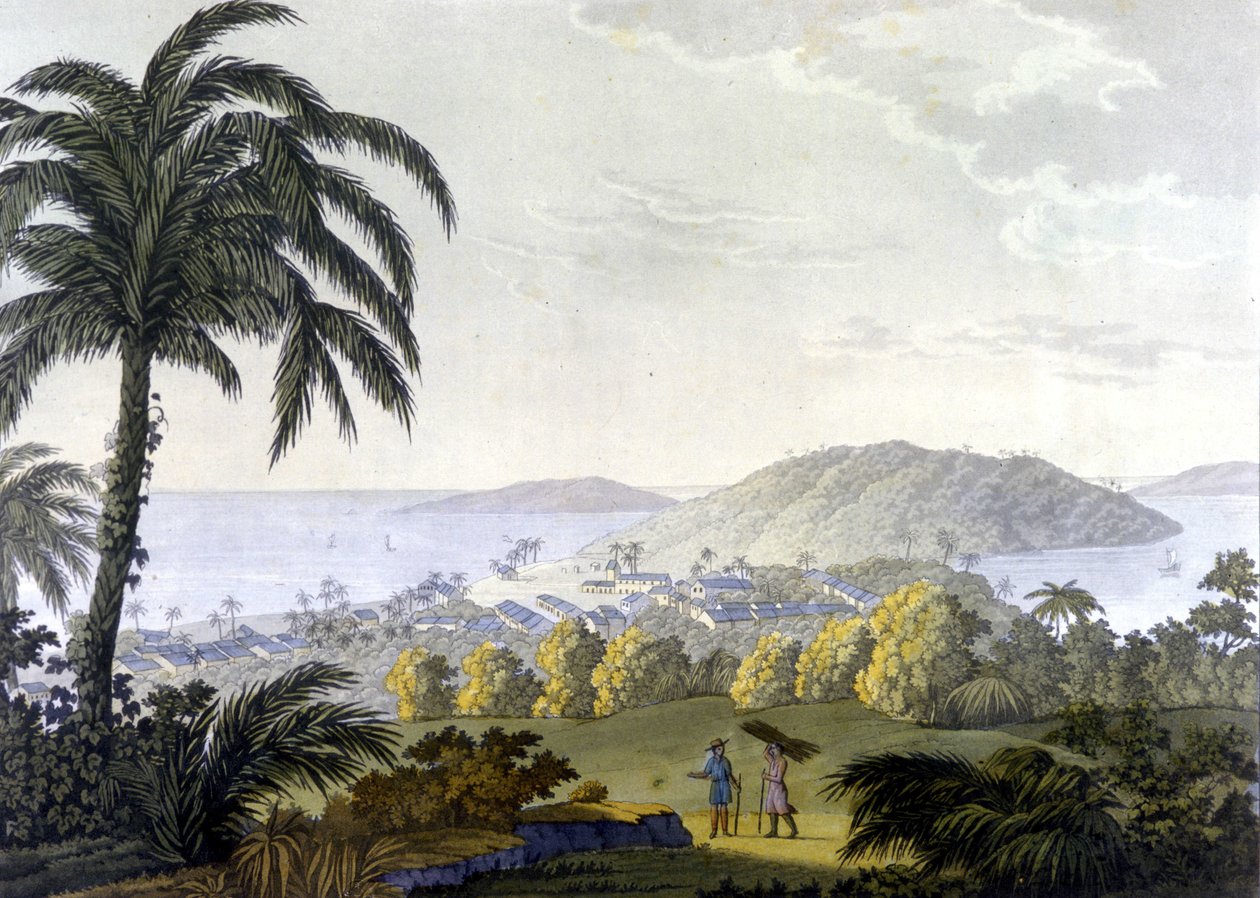 Brazílie, pohled na město Ilheus ve státě Bahia od Unknown artist