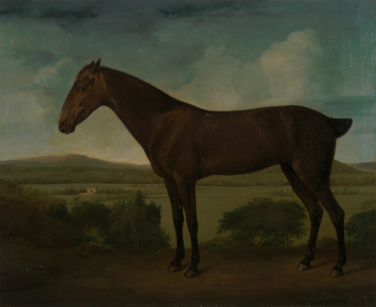 Hnědý kůň v kopcovité krajině od Unknown artist