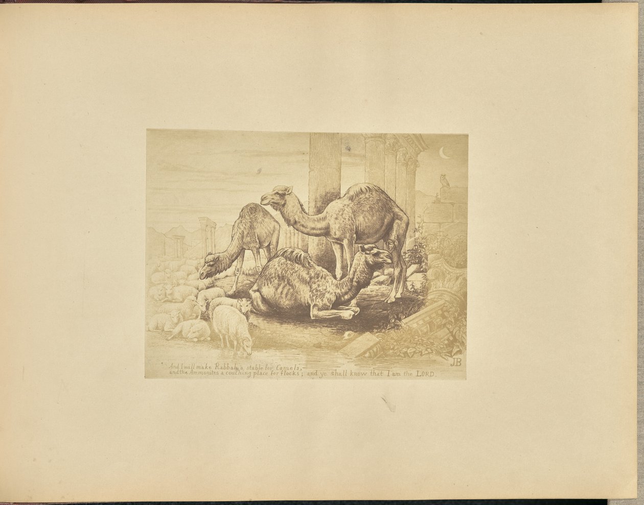 Velbloudi od Unknown artist
