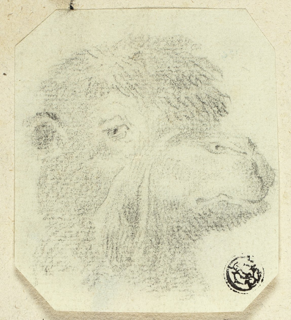Velbloudí hlava směřující doprava od Unknown artist