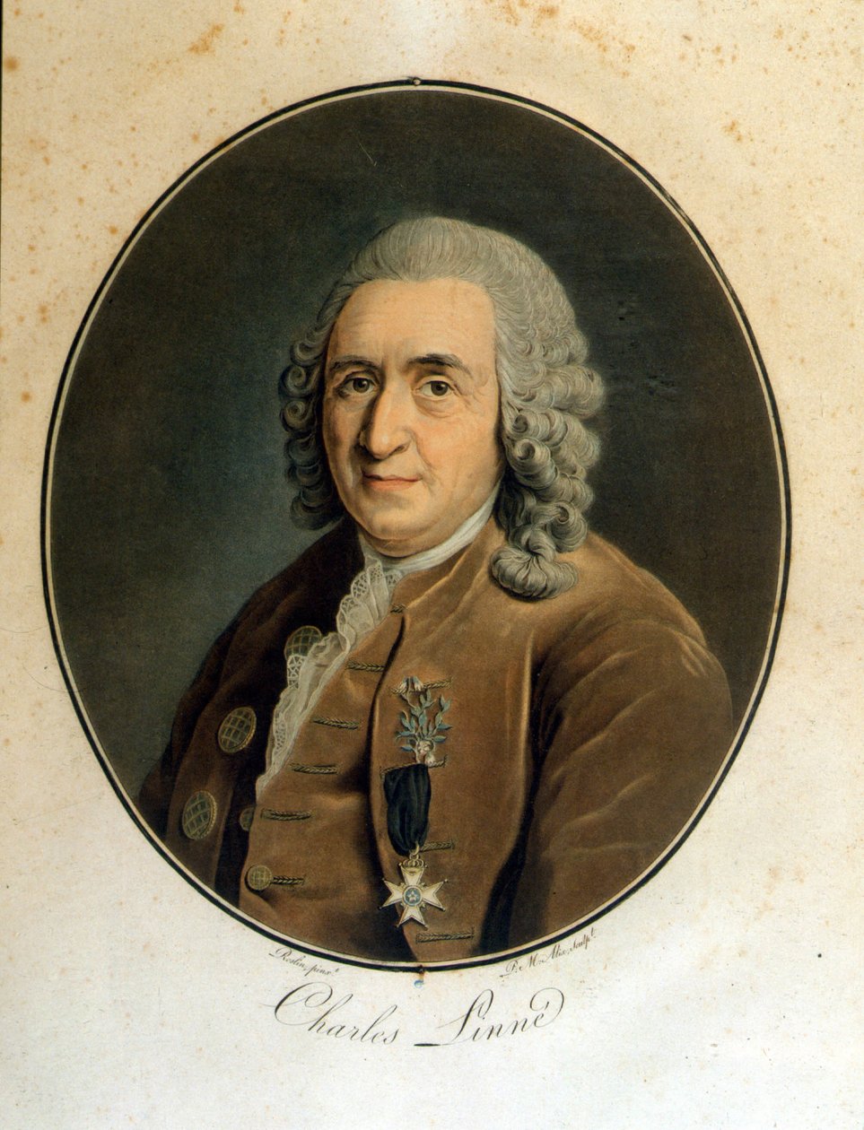 Carl Von Linné švédský přírodovědec a spisovatel (1707 - 1778) od Unknown artist