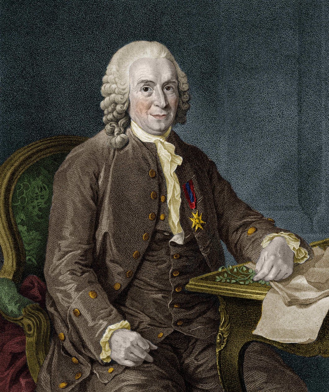 Carl Von Linné švédský přírodovědec a spisovatel (1707 - 1778). od Unknown artist