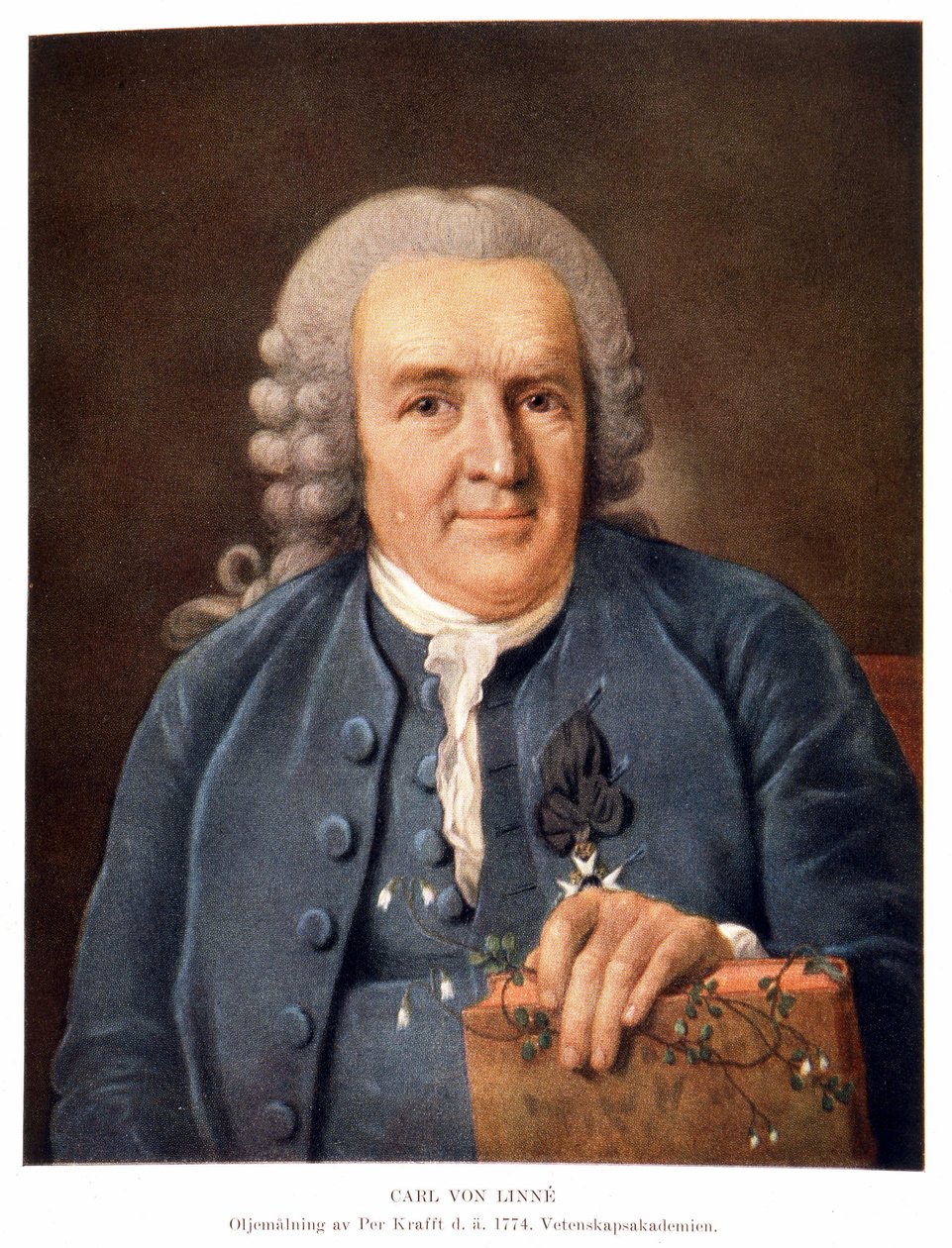 Carl Von Linné švédský přírodovědec a spisovatel od Unknown artist