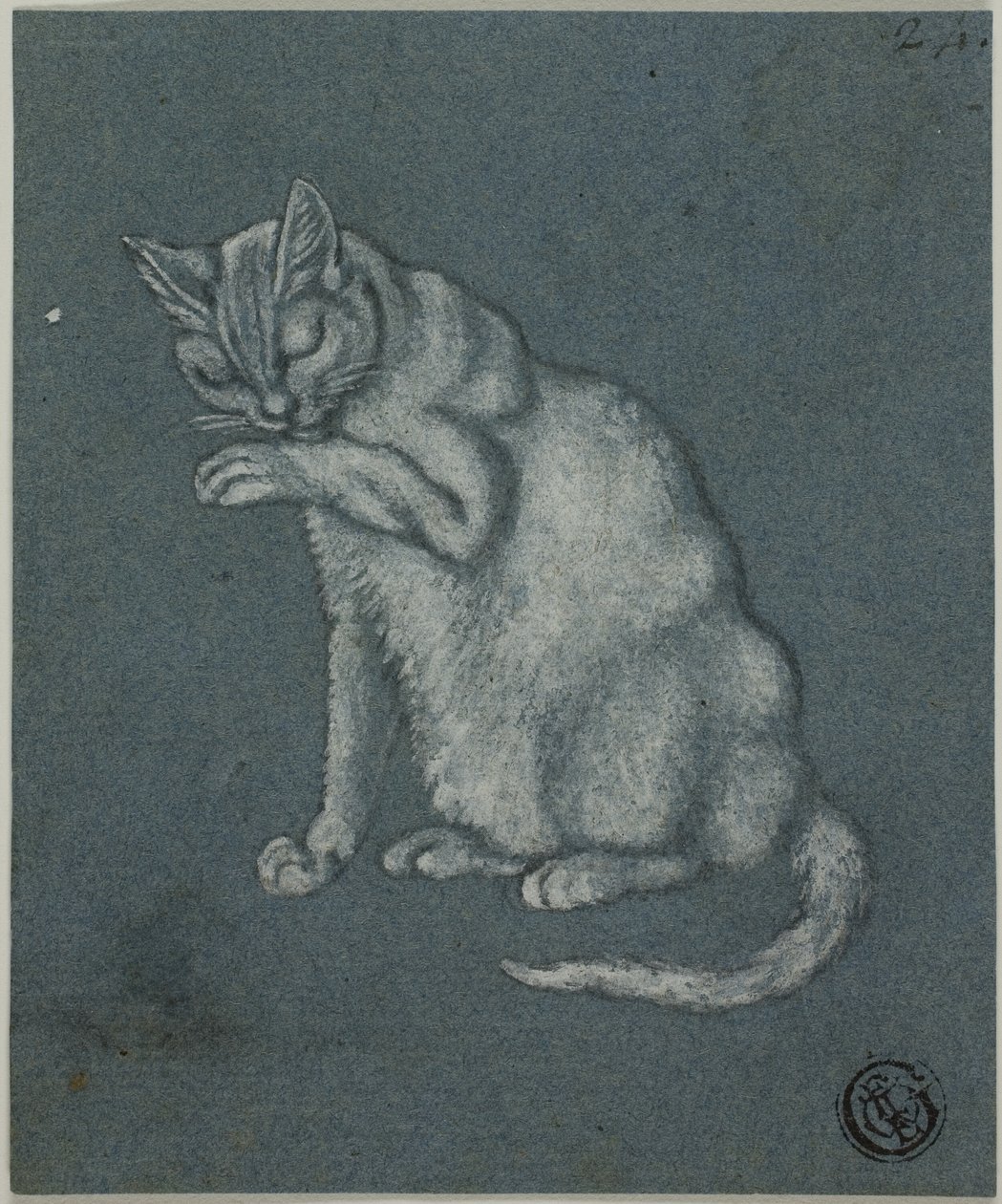 Kočičí lízání tlapky od Unknown artist