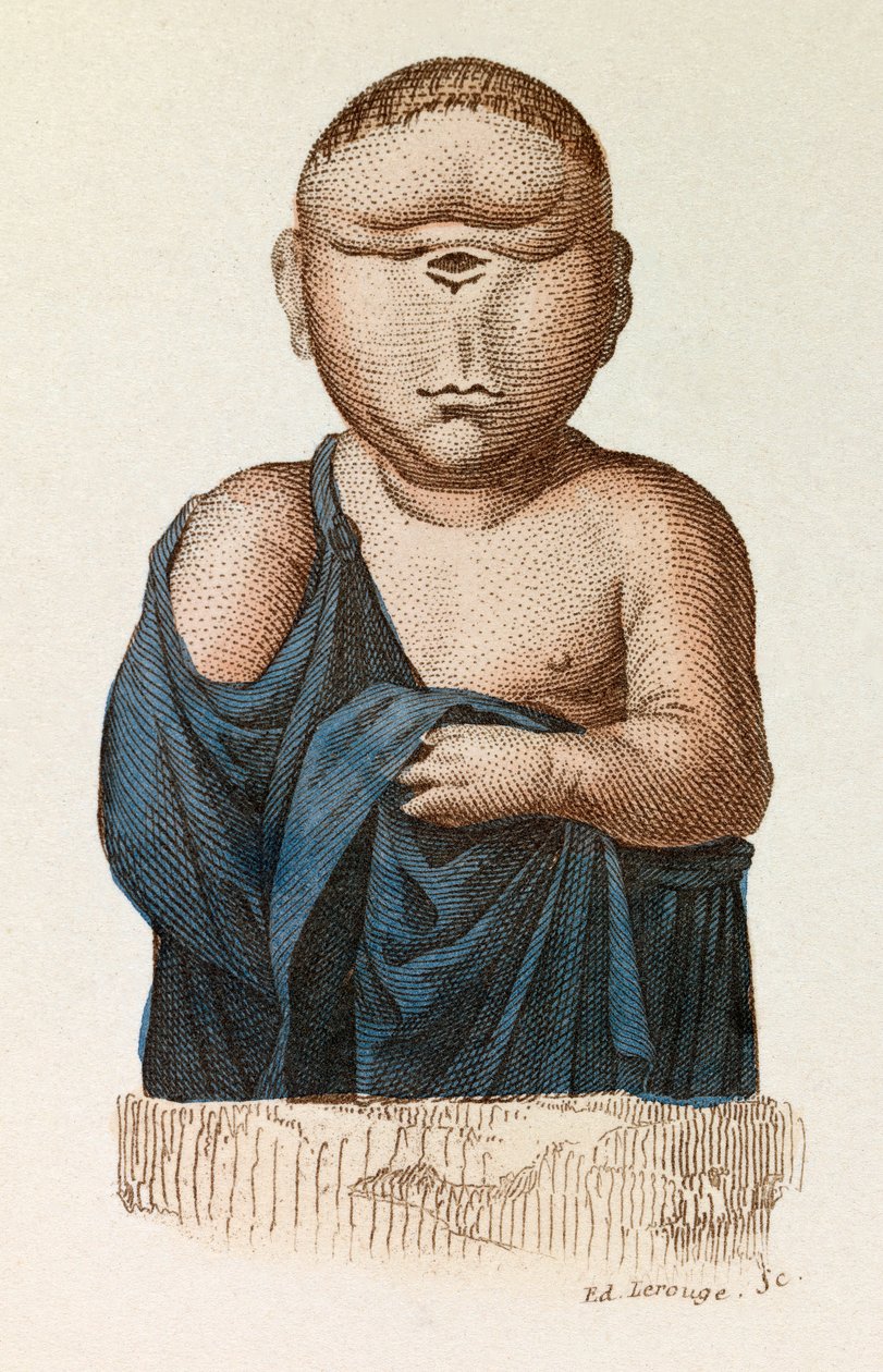 Dítě s jedním okem, klasifikované podle Linneenovy nomenklatury a Cuvierovy klasifikace (rytina) od Unknown artist