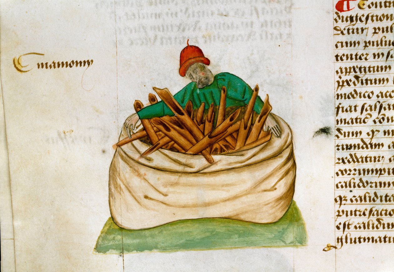 Prodavač skořice Popis léčivých rostlin a jak je připravit. Rukopisná stránka „“Léky na bylinkách““ (Tractatus de herbis) od Pedanius Dioscorides (Dioscorides) (40-90 n. l.) Lat.1152 od Unknown artist