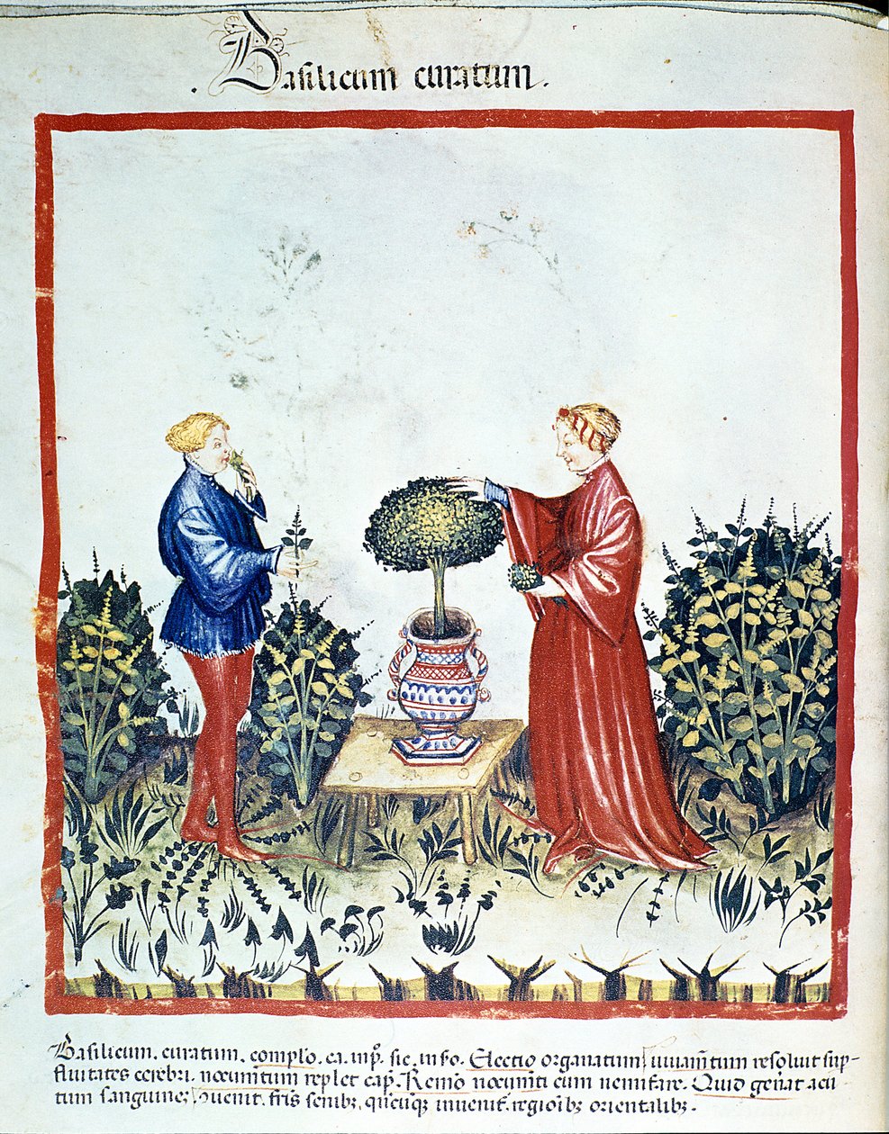 Sbírejte bazalku. Osvícení z obchodu s medicínou a dietetikou „“ Tacuinum sanitatis““ po obchodu s medicínou „“ Kitabtaqwim as-sihha““ („Kitabtaqwim jako sihha“) od Ibn Butlana od Unknown artist
