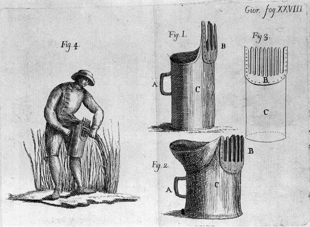Česat oves. 1800 od Unknown artist