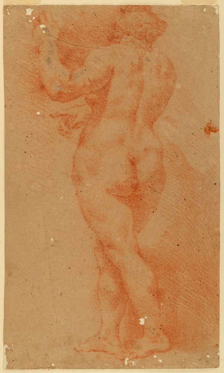 Protikladná studie nahé ženy od Unknown artist