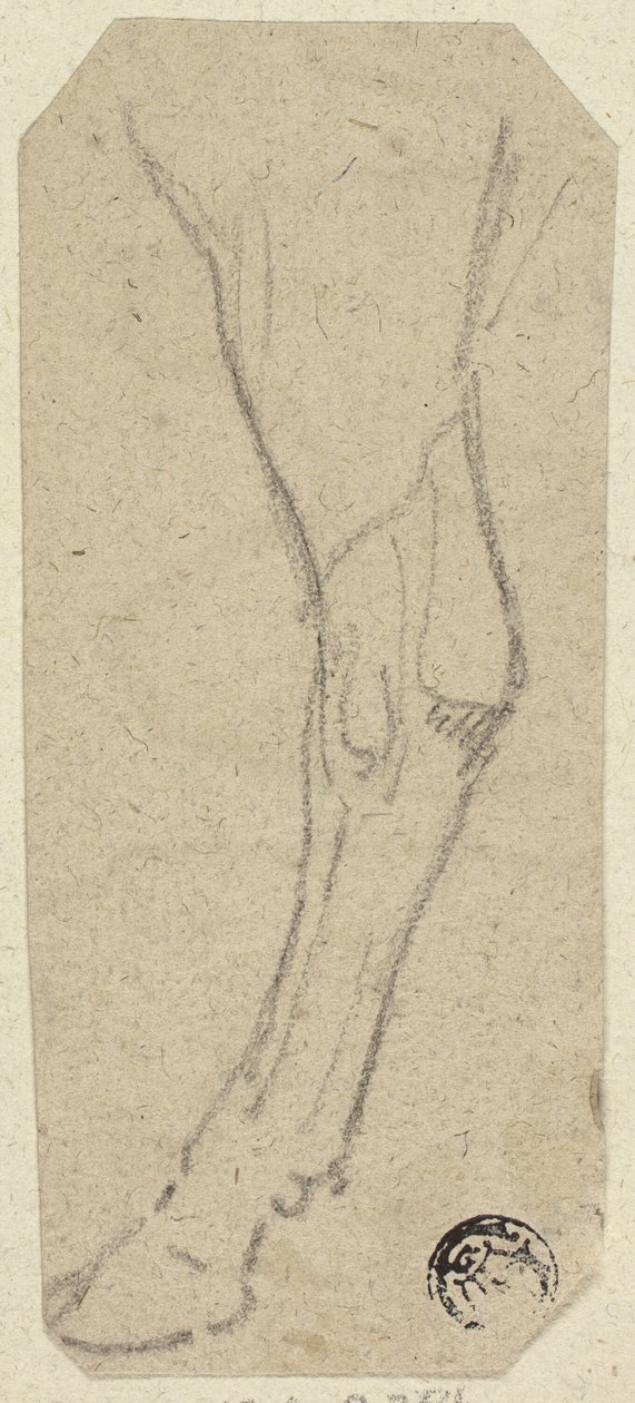 Kravská noha od Unknown artist