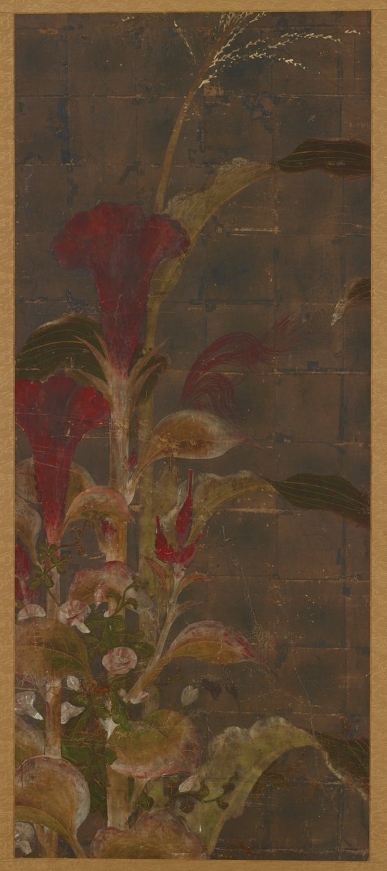 Coxcombs, kukuřice a jitrocel od Unknown artist
