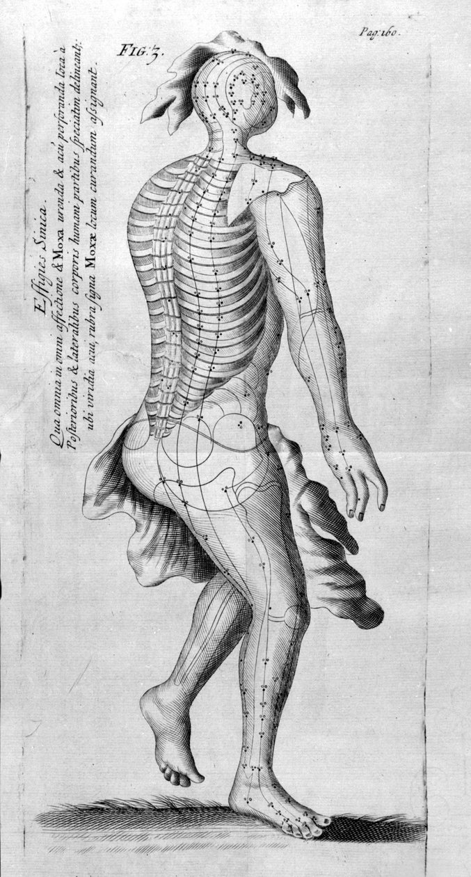 De Acupunctura od W. Ten Rhijna. Londýn 1683. První západní text zabývající se akupunkturou. od Unknown artist
