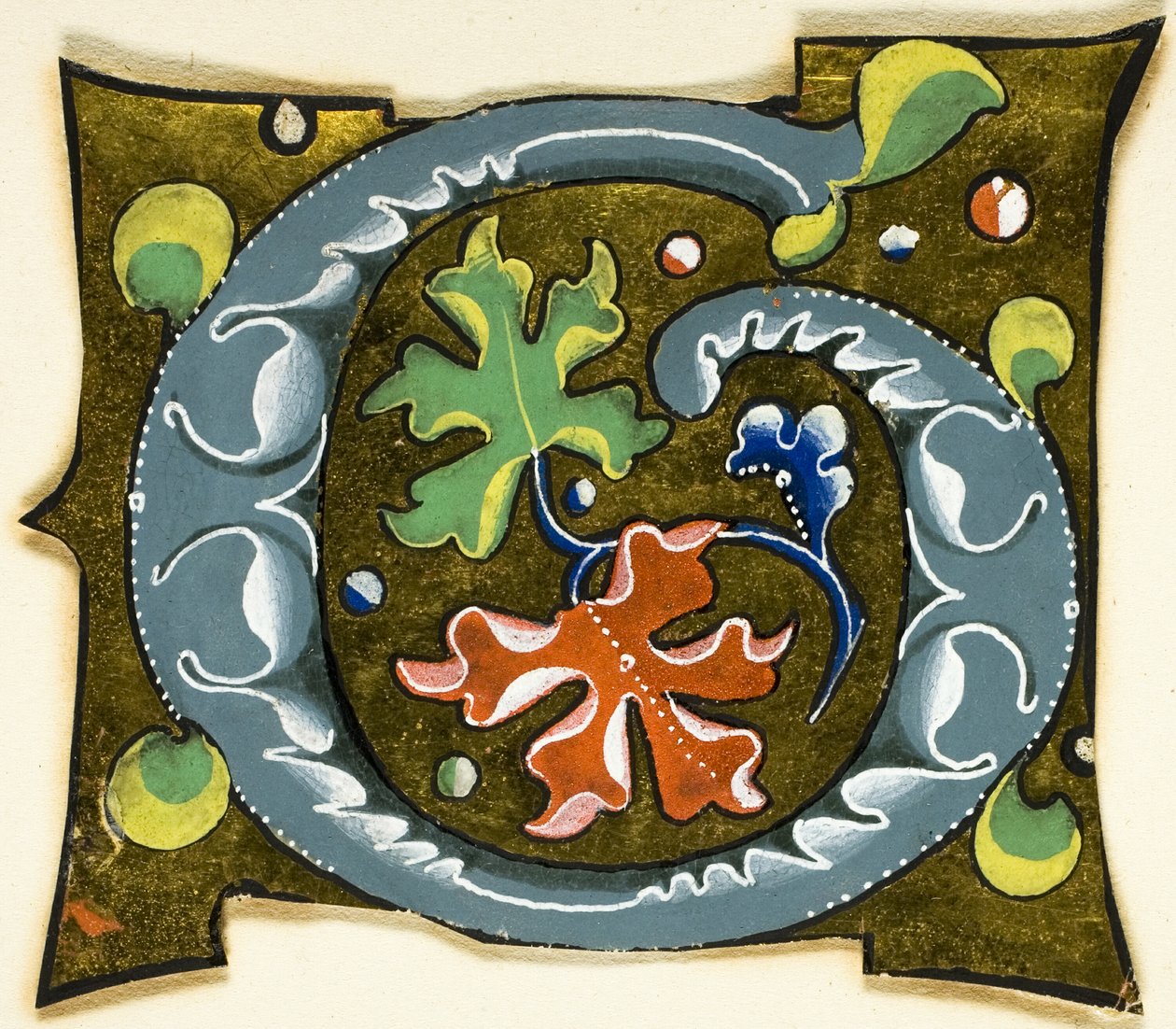 Zdobená iniciála "G" v šedé barvě s červenými, zelenými a modrými listy z rukopisu od Unknown artist