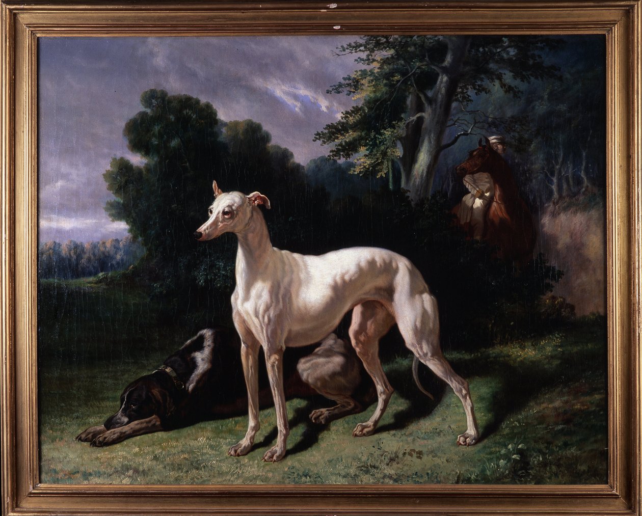 Psi (Levary) - Malba, Olej na plátně od Unknown artist