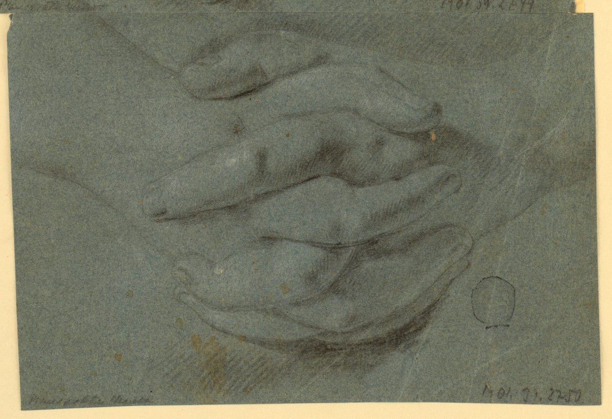 Kresba: Studie pro sepjaté ruce od Unknown artist