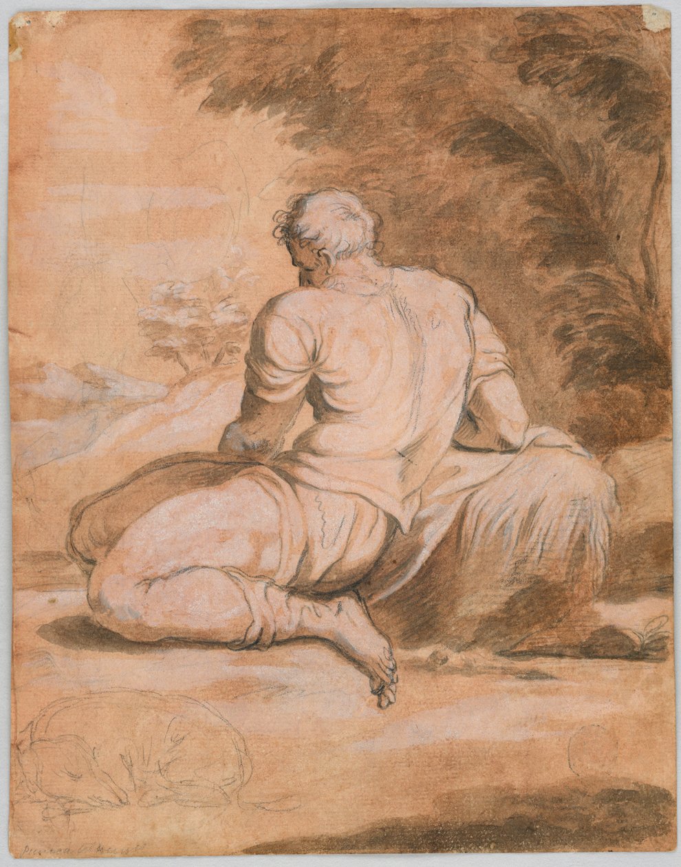 Kresebná studie: Narcis (?) od Unknown artist