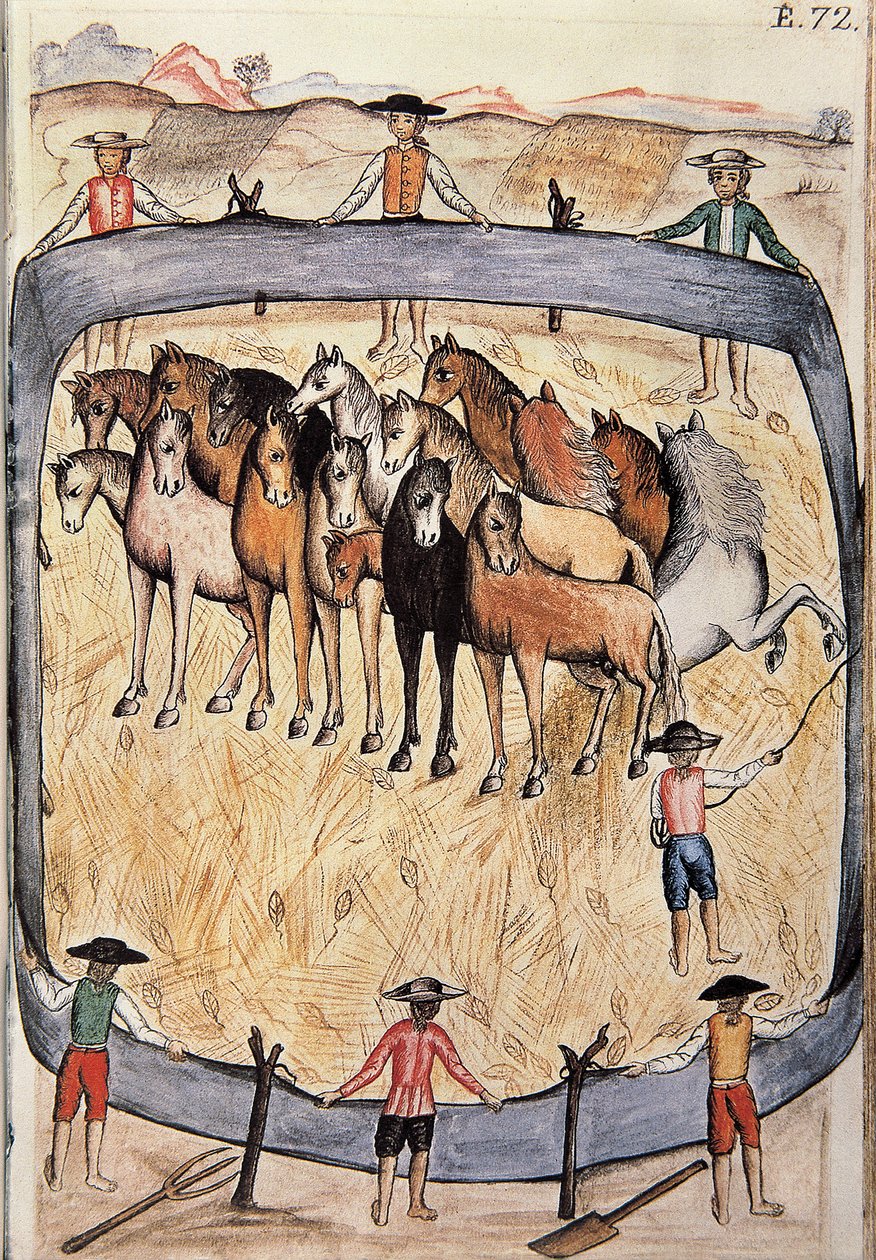 Drezura divokých koní, z knihy „Trujillo del Peru“ nebo „Códice Martínez Compañón“, od Baltazara Martineze Compañóna y Bujandy, biskupa z Trujillo (1782-1785) od Unknown artist