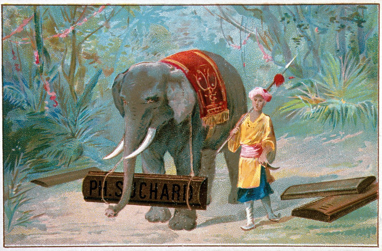 Slon a Cornac, reklama „“ Suchard“, v. 1895 od Unknown artist