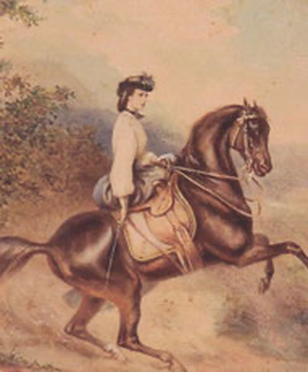 Alžběta, rakouská císařovna a uherská královna-konzulka (24. prosince 1837 - 10. září 1898) (ilustrace) od Unknown artist
